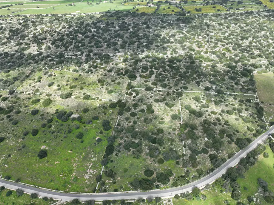 Immagine 18 di Terreno in vendita  in Strada regionale Ficazza-Palma a Ragusa