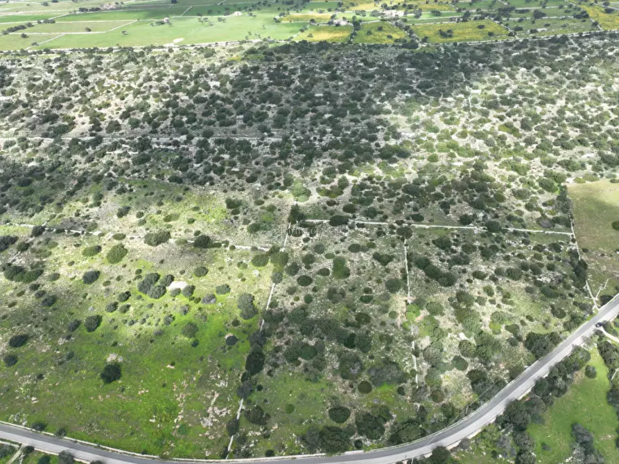 Immagine 19 di Terreno in vendita  in Strada regionale Ficazza-Palma a Ragusa
