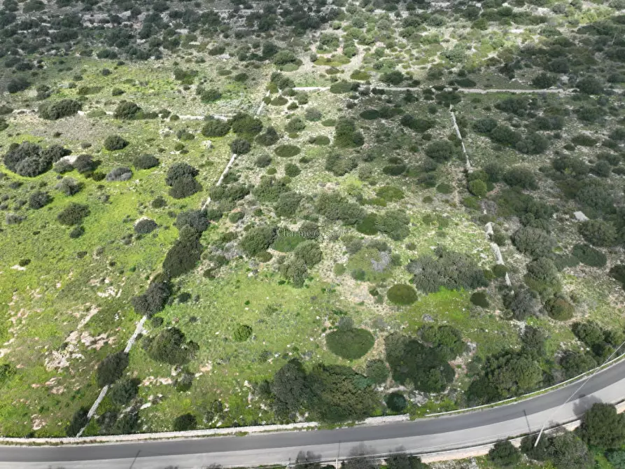 Immagine 20 di Terreno in vendita  in Strada regionale Ficazza-Palma a Ragusa
