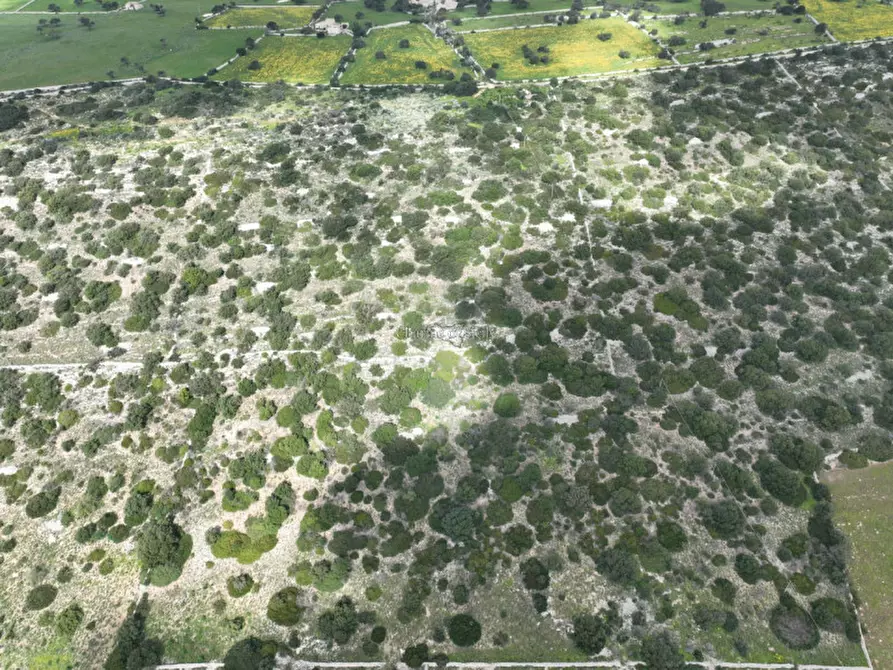 Immagine 21 di Terreno in vendita  in Strada regionale Ficazza-Palma a Ragusa