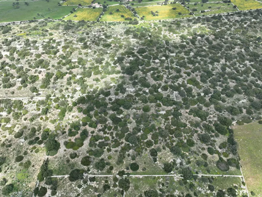 Immagine 22 di Terreno in vendita  in Strada regionale Ficazza-Palma a Ragusa