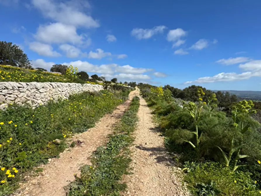 Immagine 23 di Terreno in vendita  in Strada regionale Ficazza-Palma a Ragusa