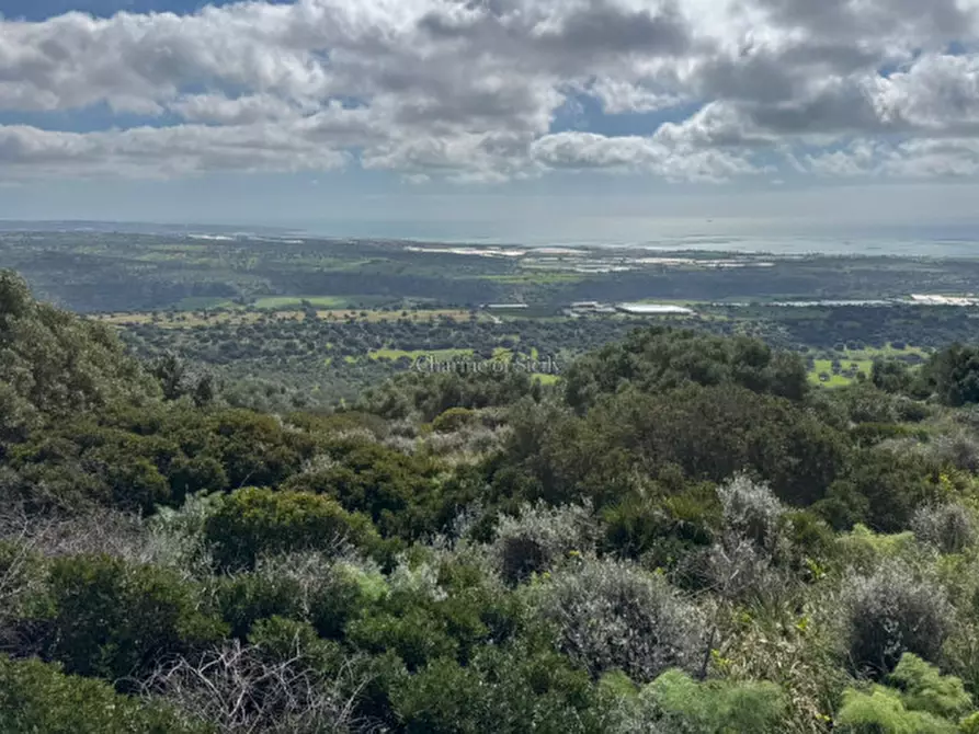 Immagine 24 di Terreno in vendita  in Strada regionale Ficazza-Palma a Ragusa