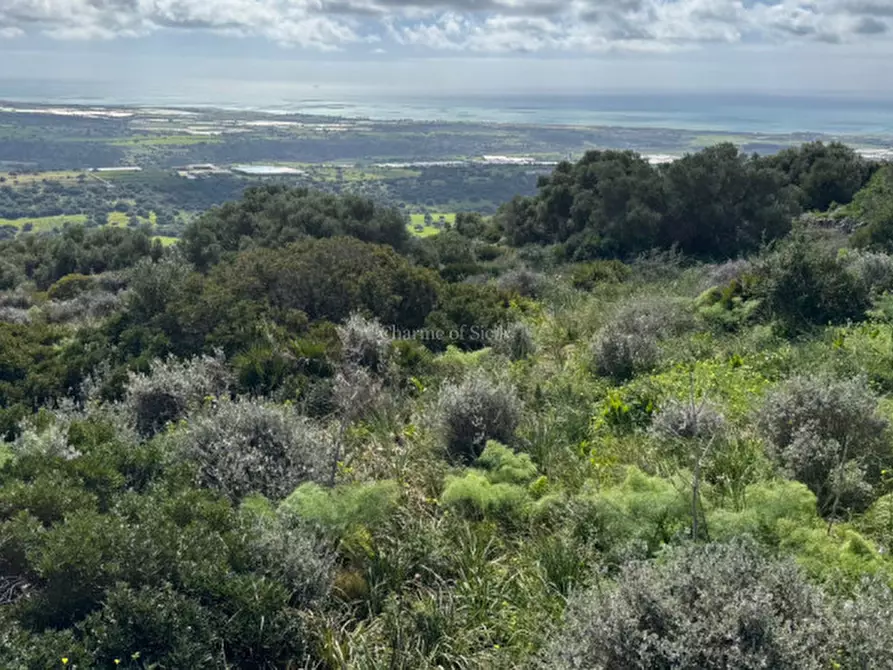 Immagine 26 di Terreno in vendita  in Strada regionale Ficazza-Palma a Ragusa