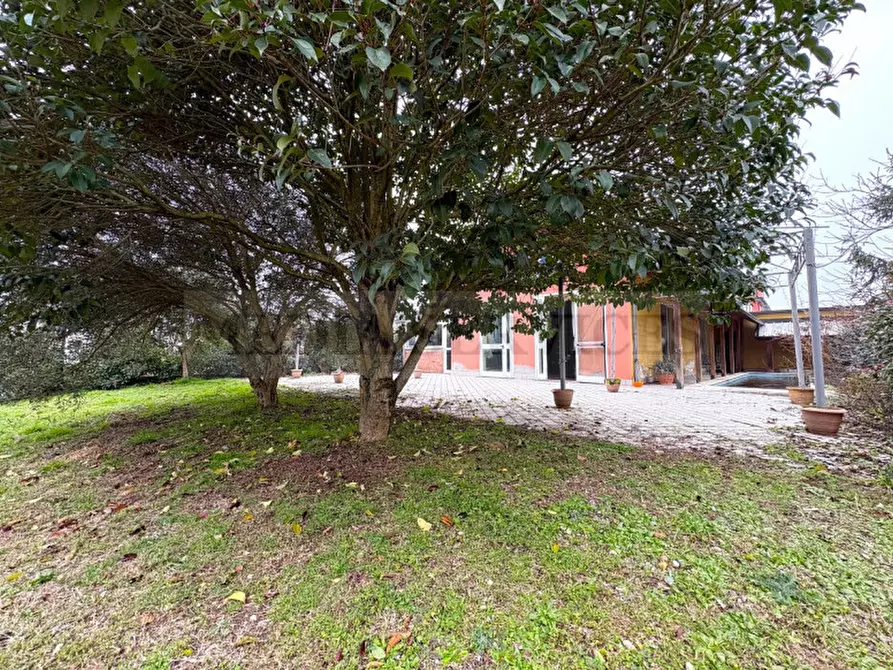 Immagine 4 di Villa in vendita  in via Roma n° 35 a Mortara