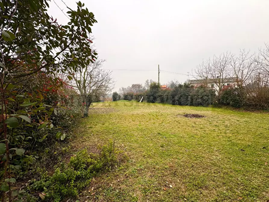 Immagine 5 di Villa in vendita  in via Roma n° 35 a Mortara