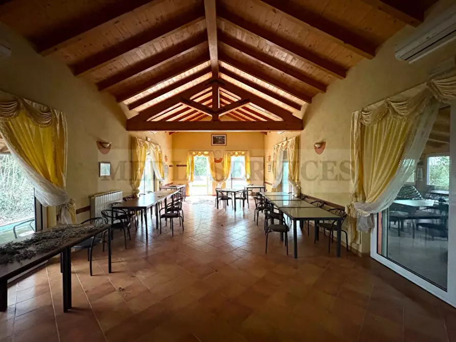 Immagine 7 di Villa in vendita  in via Roma n° 35 a Mortara