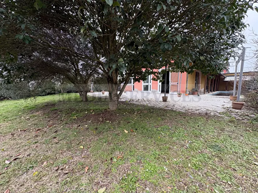 Immagine 18 di Villa in vendita  in via Roma n° 35 a Mortara