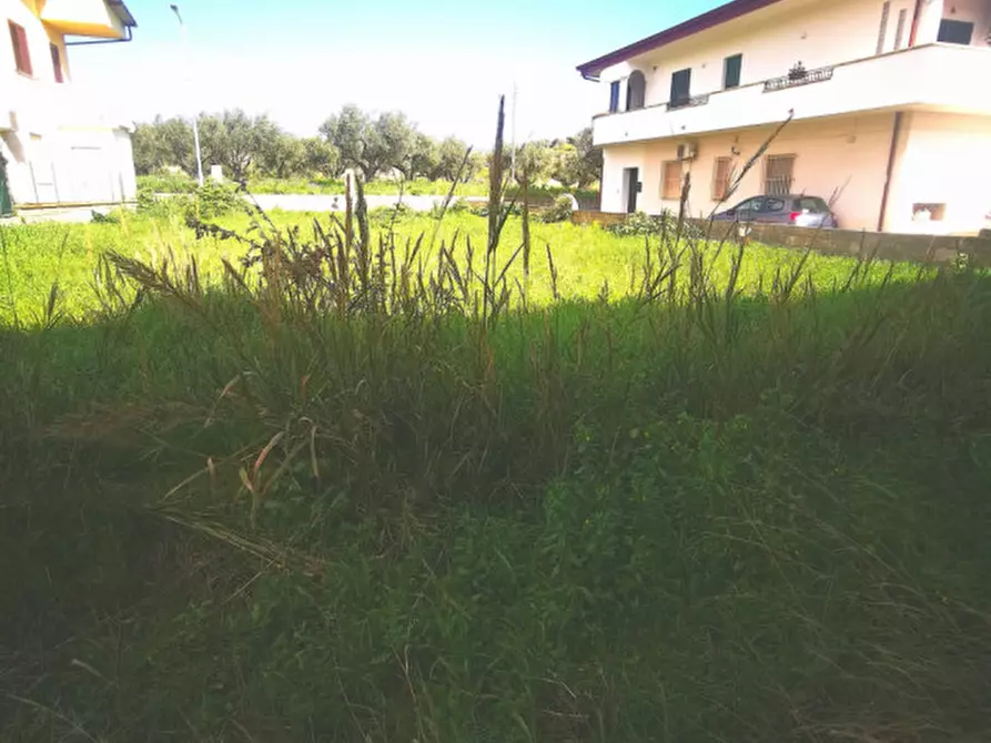 Immagine 7 di Casa indipendente in vendita  in Viale Fiume Busento a Catanzaro