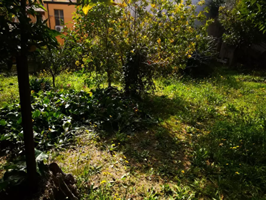 Immagine 19 di Casa indipendente in vendita  in Piazza Fratelli Bandiera a Catanzaro