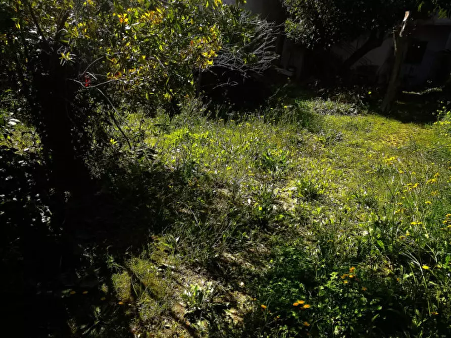 Immagine 28 di Casa indipendente in vendita  in Piazza Fratelli Bandiera a Catanzaro