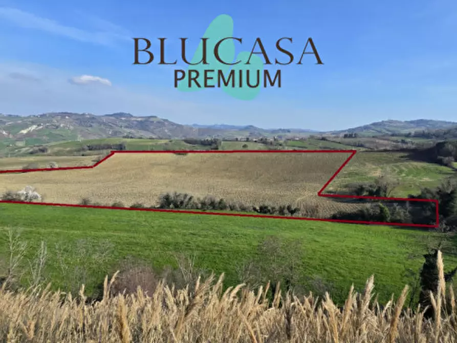 Immagine 1 di Terreno in vendita  in Teodotano a Meldola