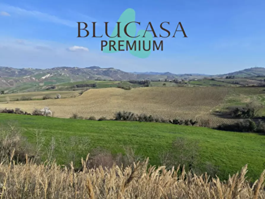 Immagine 2 di Terreno in vendita  in Teodotano a Meldola