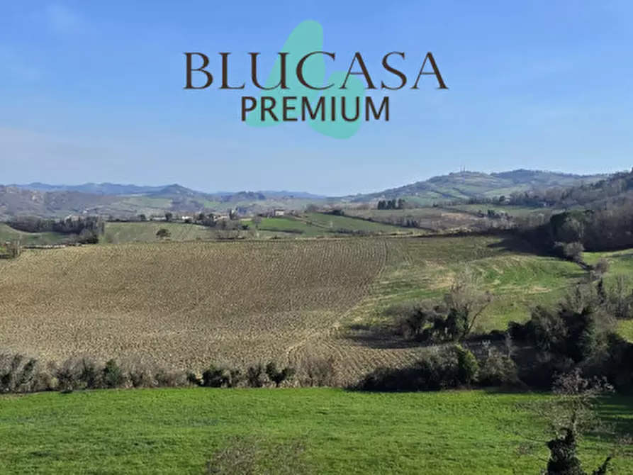 Immagine 5 di Terreno in vendita  in Teodotano a Meldola