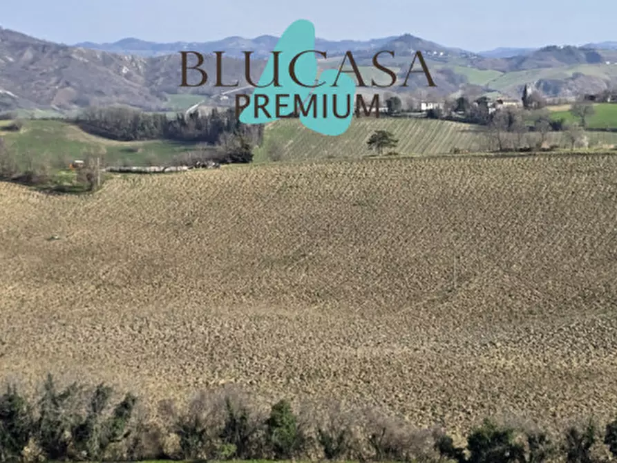 Immagine 6 di Terreno in vendita  in Teodotano a Meldola