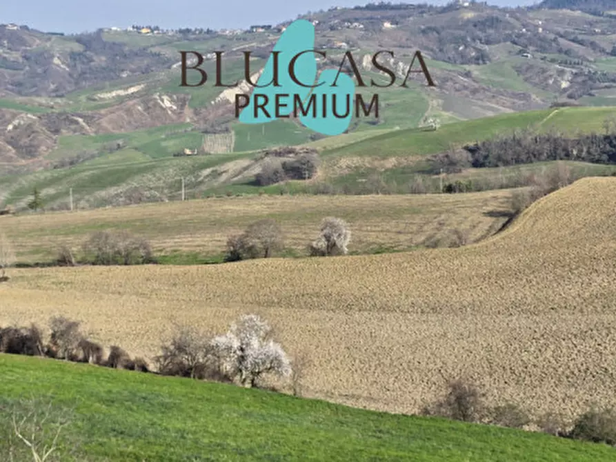 Immagine 7 di Terreno in vendita  in Teodotano a Meldola