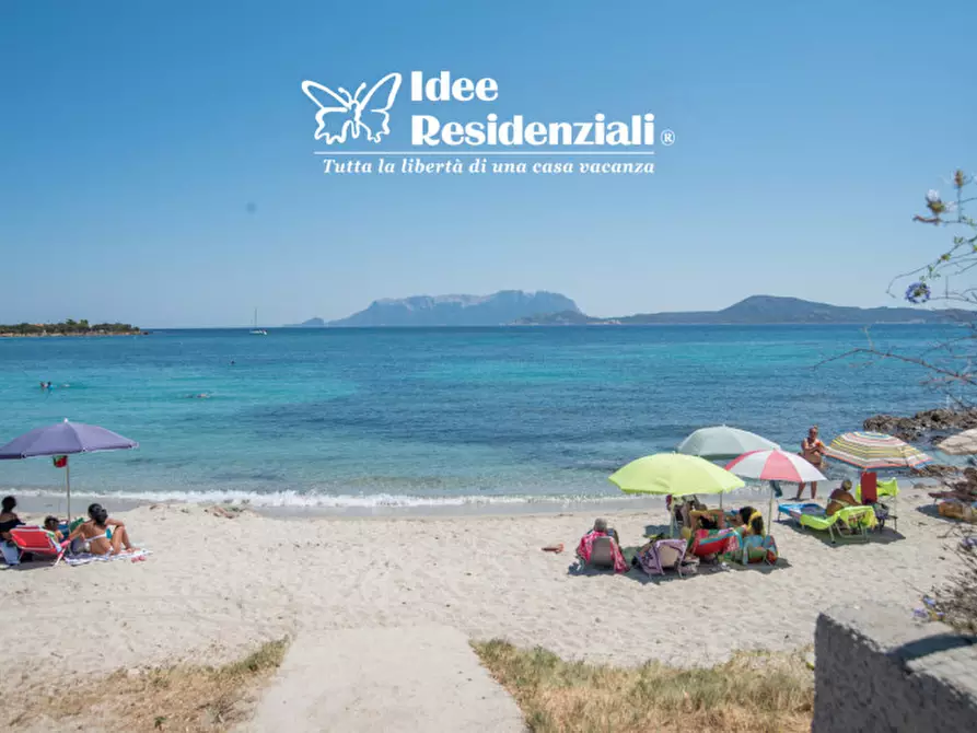 Immagine 18 di Appartamento in vendita  a Olbia