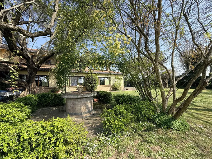 Immagine 3 di Villa in vendita  in Via Pozzoveggiani a Padova