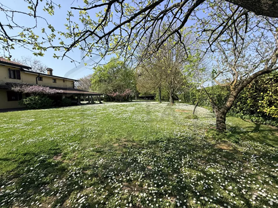 Immagine 8 di Villa in vendita  in Via Pozzoveggiani a Padova