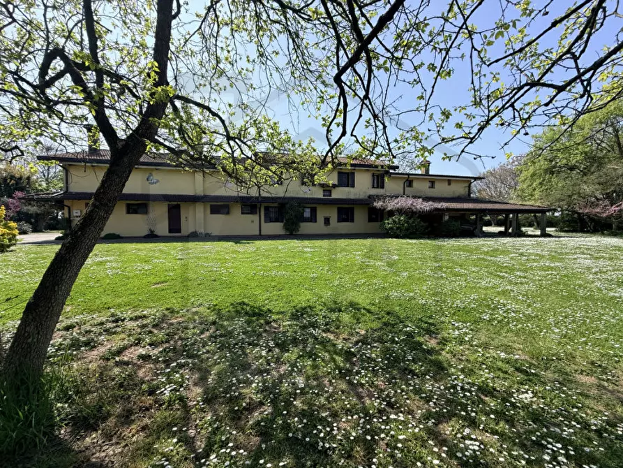 Immagine 9 di Villa in vendita  in Via Pozzoveggiani a Padova