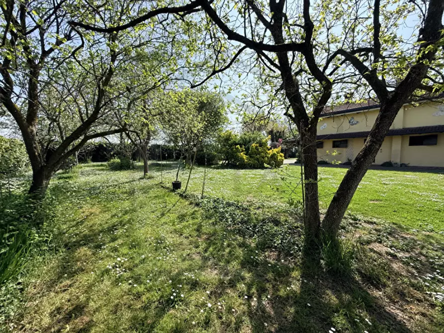 Immagine 10 di Villa in vendita  in Via Pozzoveggiani a Padova