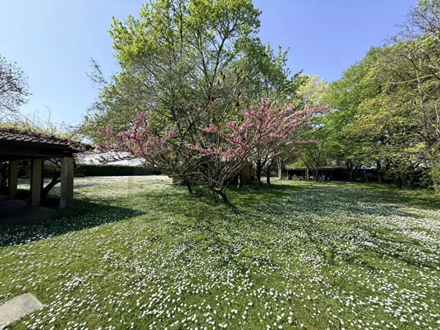 Immagine 11 di Villa in vendita  in Via Pozzoveggiani a Padova