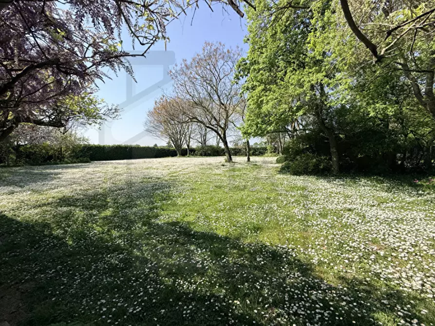 Immagine 12 di Villa in vendita  in Via Pozzoveggiani a Padova