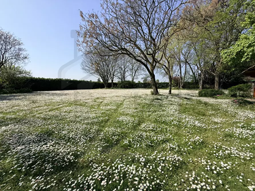 Immagine 13 di Villa in vendita  in Via Pozzoveggiani a Padova