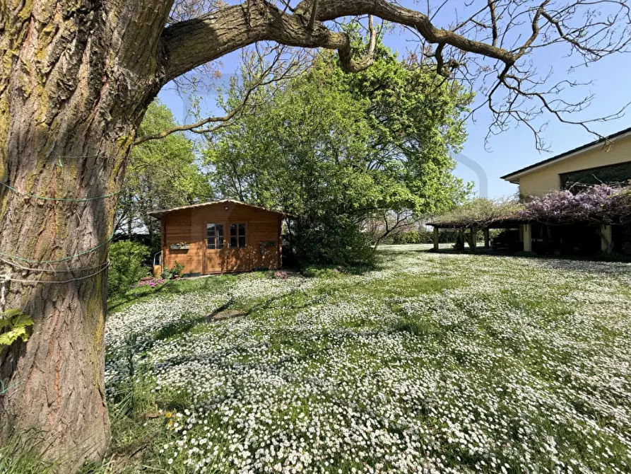 Immagine 17 di Villa in vendita  in Via Pozzoveggiani a Padova