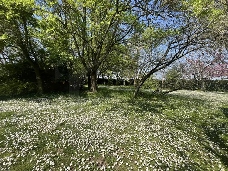 Immagine 49 di Villa in vendita  in Via Pozzoveggiani a Padova