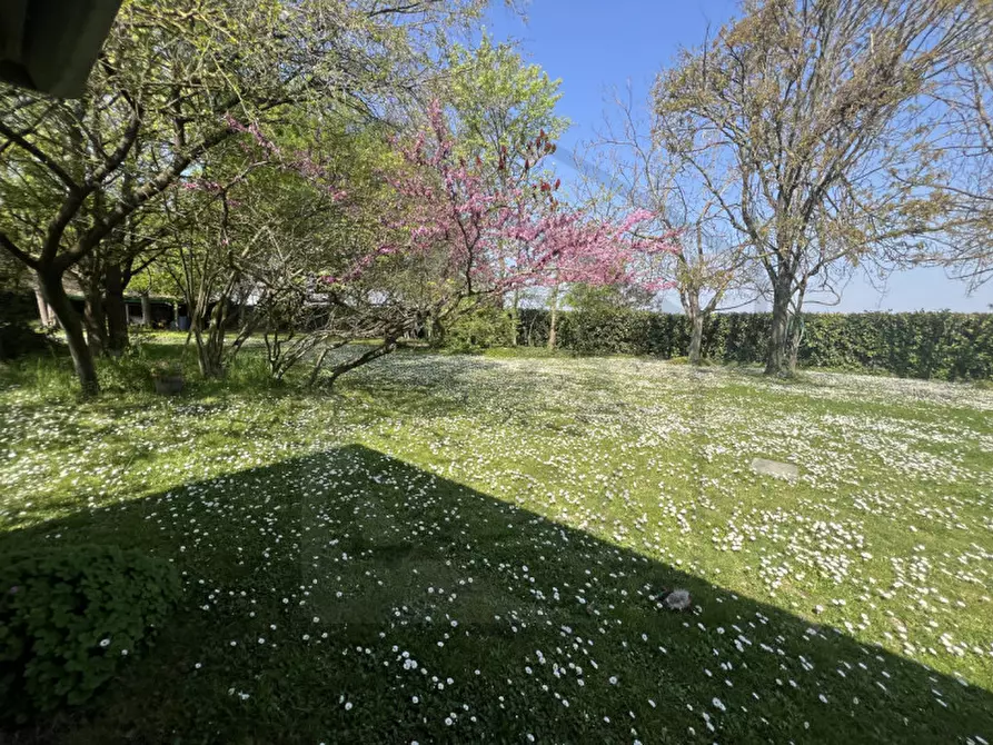 Immagine 50 di Villa in vendita  in Via Pozzoveggiani a Padova