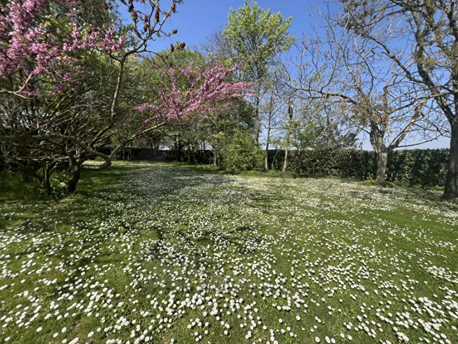 Immagine 52 di Villa in vendita  in Via Pozzoveggiani a Padova
