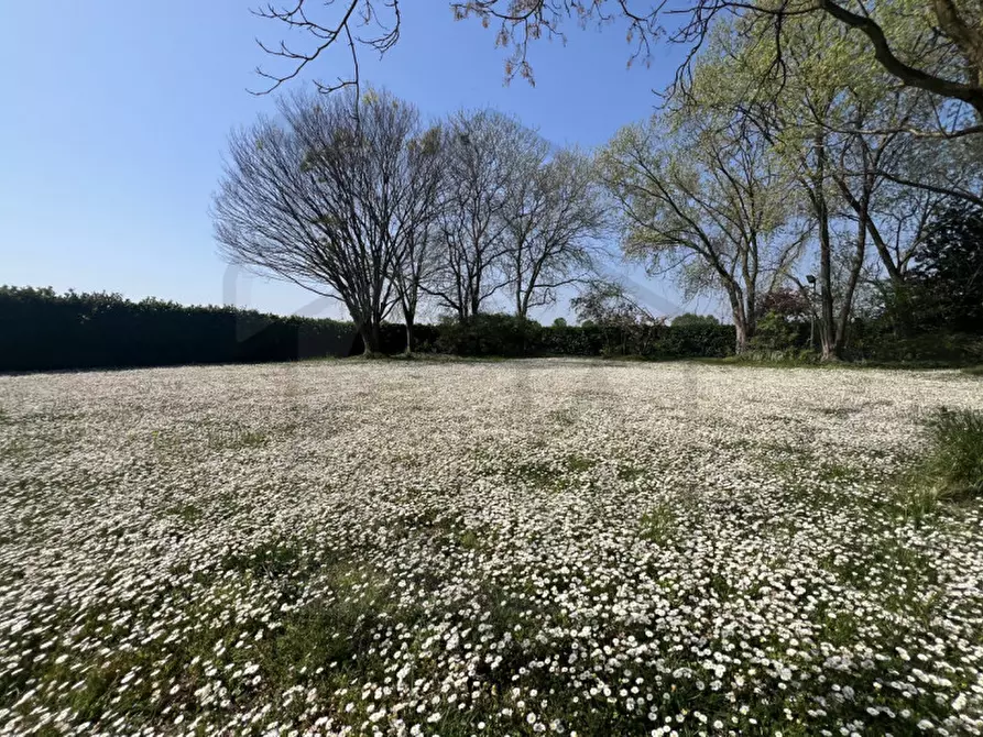 Immagine 54 di Villa in vendita  in Via Pozzoveggiani a Padova