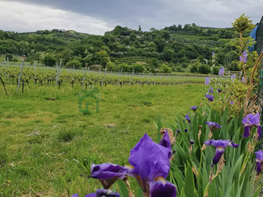 Immagine 4 di Villa in vendita  in Via Naronchi a Colognola Ai Colli
