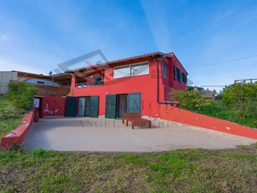 Immagine 2 di Casa indipendente in vendita  a Torpè