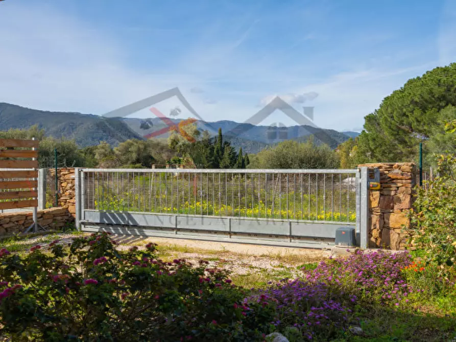 Immagine 52 di Casa indipendente in vendita  a Torpè