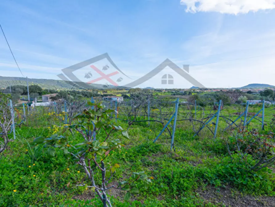 Immagine 54 di Casa indipendente in vendita  a Torpè