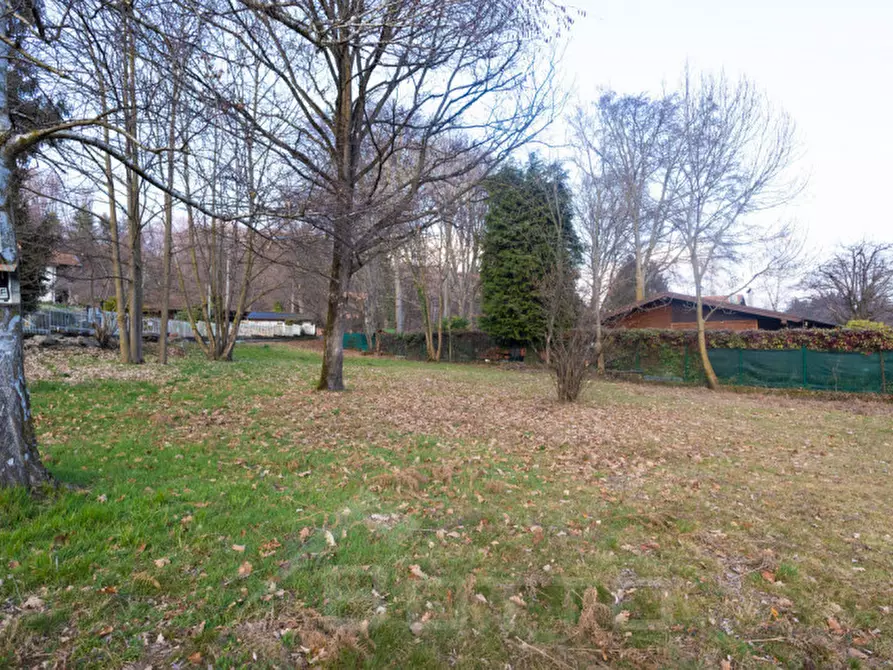 Immagine 6 di Terreno in vendita  in prato arborato, 2 a Cesara
