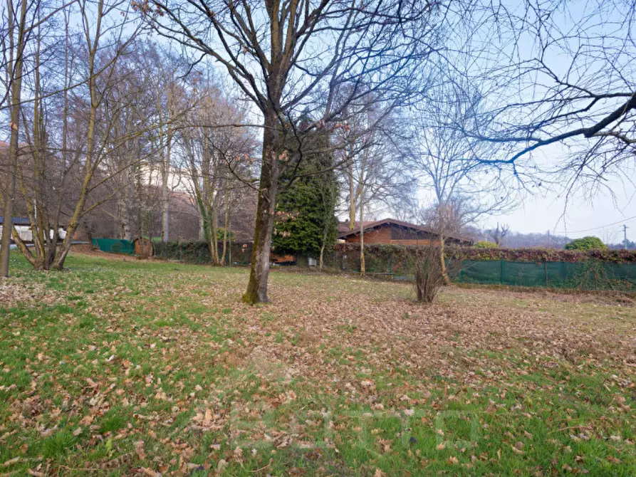 Immagine 7 di Terreno in vendita  in prato arborato, 2 a Cesara
