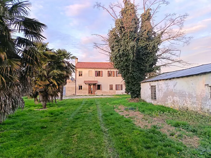 Immagine 29 di Casa indipendente in vendita  in Via Argine Destro, Bovolenta a Bovolenta