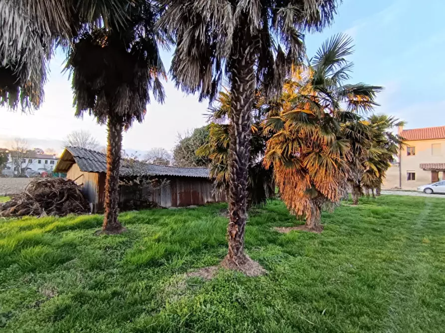 Immagine 31 di Casa indipendente in vendita  in Via Argine Destro, Bovolenta a Bovolenta