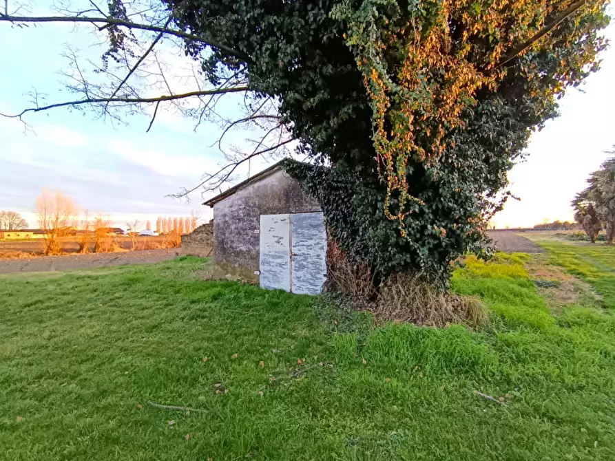 Immagine 32 di Casa indipendente in vendita  in Via Argine Destro, Bovolenta a Bovolenta