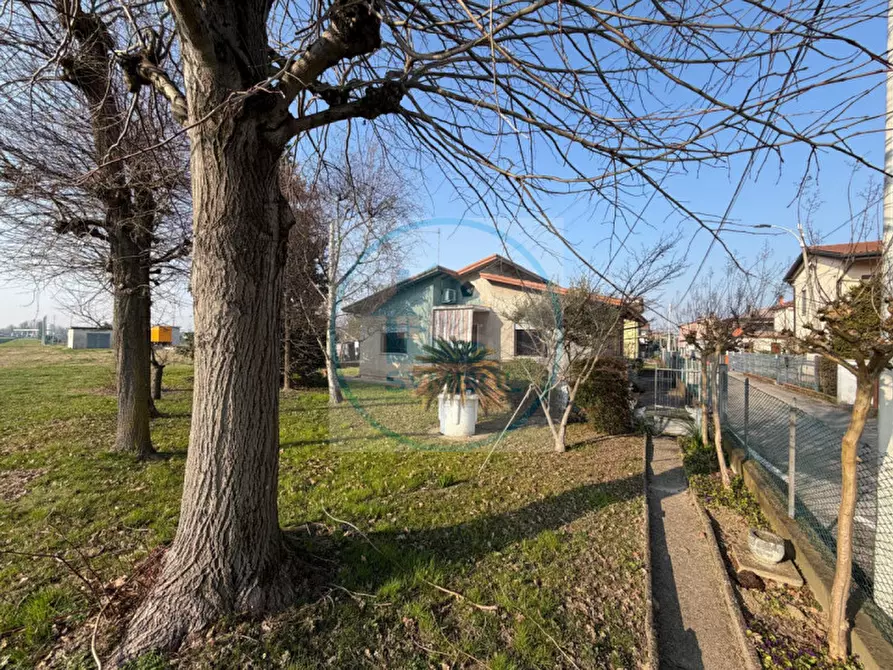 Immagine 1 di Casa indipendente in vendita  in Via dei Fagiani a Mira