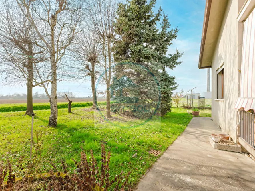 Immagine 18 di Casa indipendente in vendita  in Via dei Fagiani a Mira