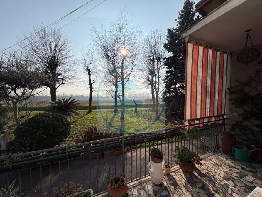 Immagine 19 di Casa indipendente in vendita  in Via dei Fagiani a Mira