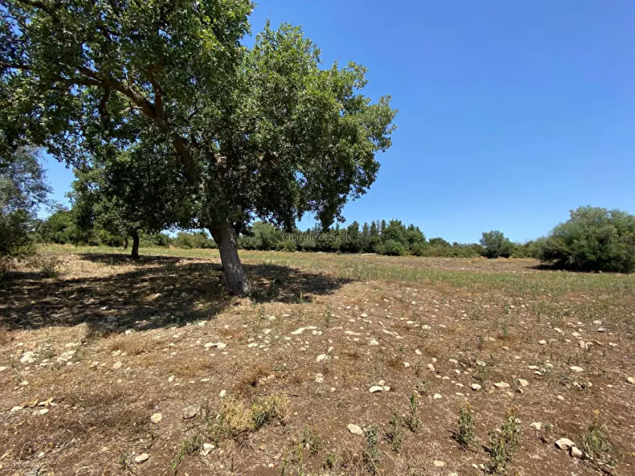 Immagine 49 di Casa indipendente in vendita  a Noto