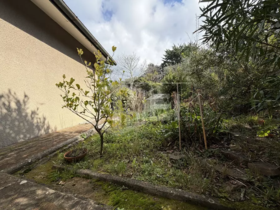 Immagine 39 di Appartamento in vendita  in Via del Poggio a Livorno