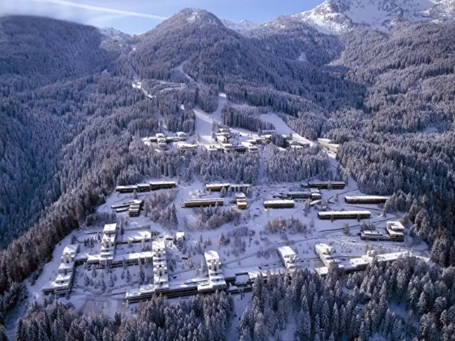 Immagine 11 di Appartamento in affitto  in Via per Marilleva a Mezzana