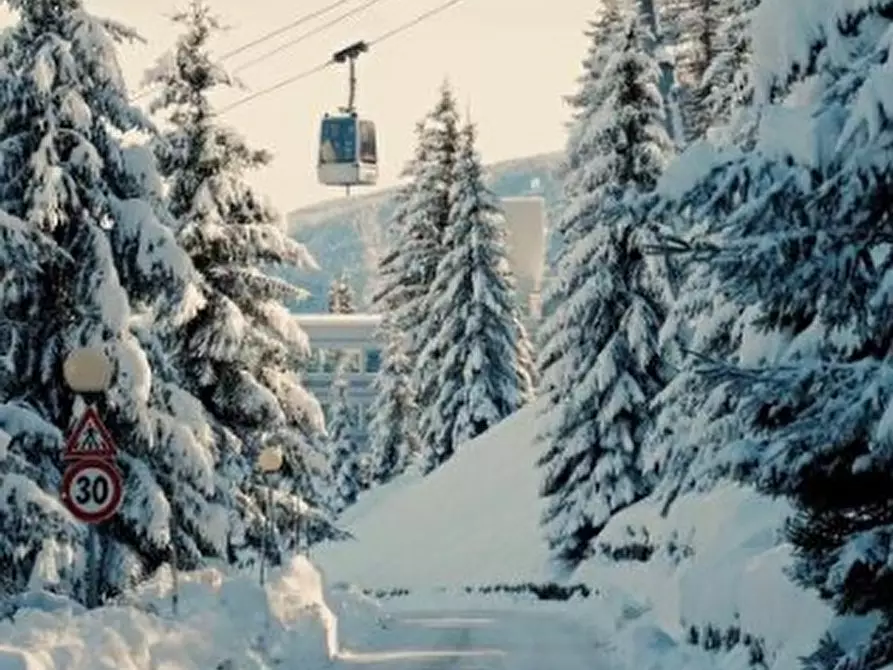 Immagine 12 di Appartamento in affitto  in Via per Marilleva a Mezzana