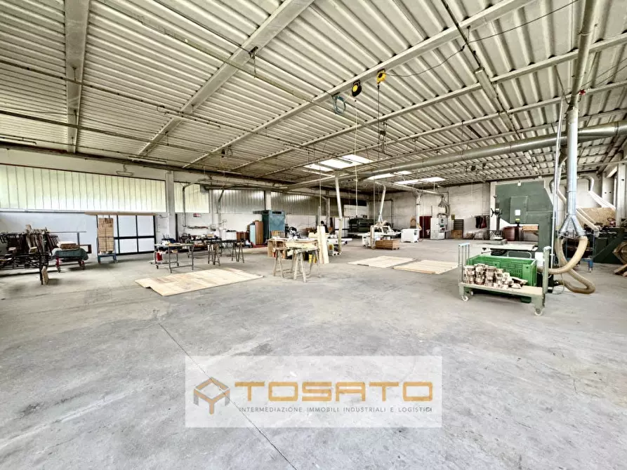 Immagine 4 di Capannone industriale in vendita  a Cerea